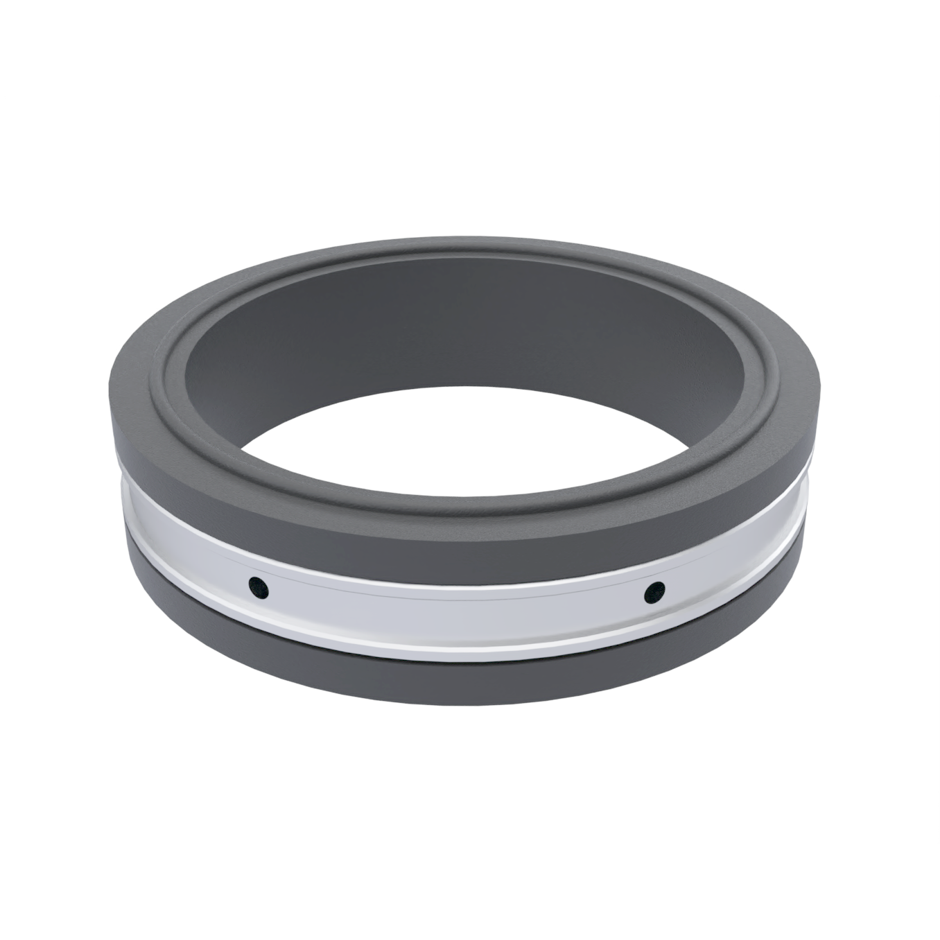 Inner Ring (10412113001)